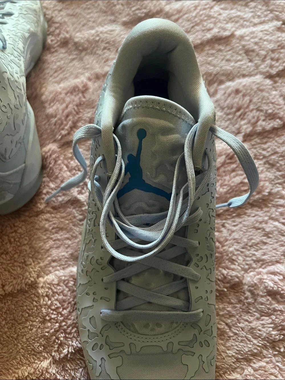 Jordan Men's Athletic Shoes Light Gray with Light Blue Accents